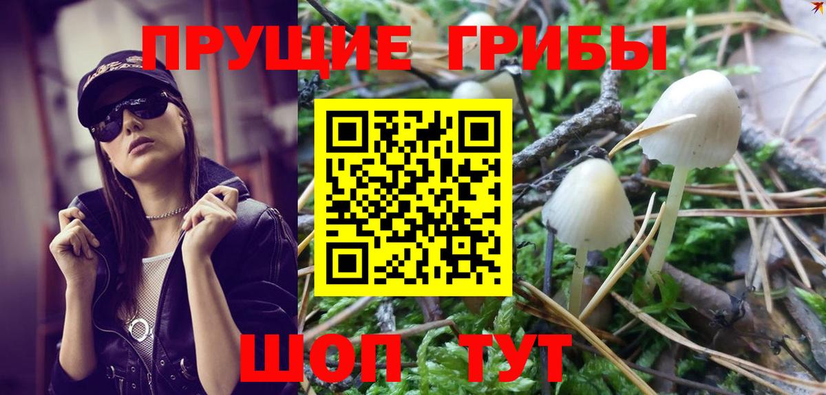 Псилоцибиновые грибы Cubensis  Псилоцибиновые грибы Psilocybine cubensis  Вход с VPN  Учалы 
